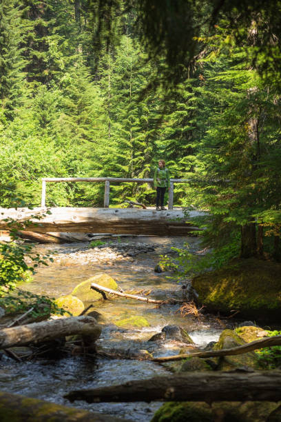 istock Hiker Looks Back From Atop a Bridge in Oregon 1303511740