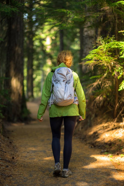 istock A Lone Hiker Walks Along a Trail in Oregon - Rear View 1303511743