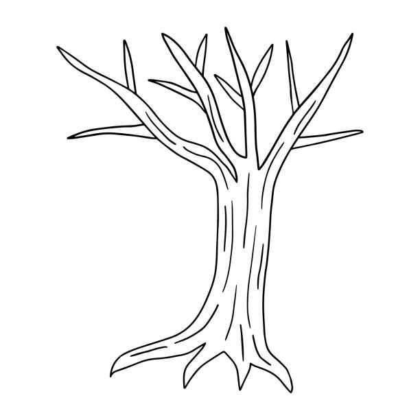 Sketch Of A Tree Without Leaves Cartoon Illustrations, Royalty-Free Vector  Graphics & Clip Art - iStock