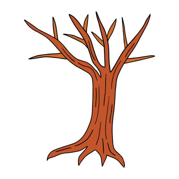 Cartoon Of A Oak Tree Without Leaves Illustrations, Royalty-Free Vector  Graphics & Clip Art - iStock