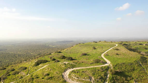 colina verde revelando llanuras de judea en israel - jerusalem hills fotografías e imágenes de stock