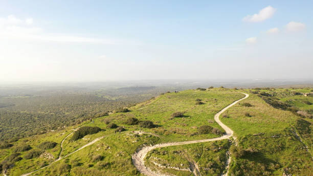 green hill revealing judea plains in israel - jerusalem hills imagens e fotografias de stock