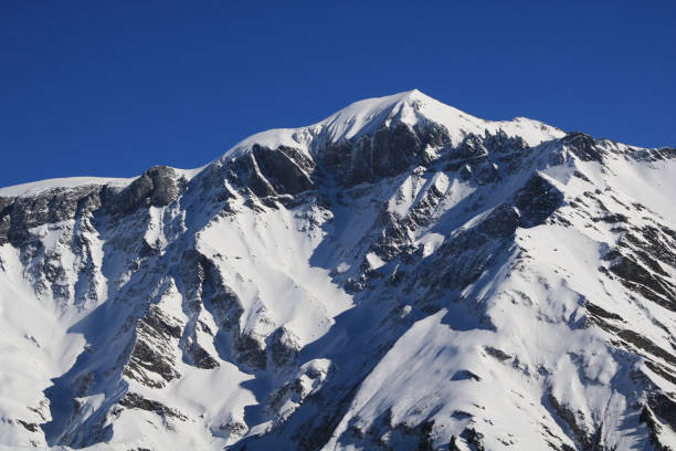 istock Snow covered Piz Segnas and Piz Sardona. 1303513238