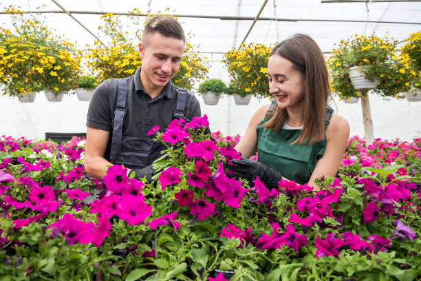 istock Two workers who are working together in flowers center 1303513876