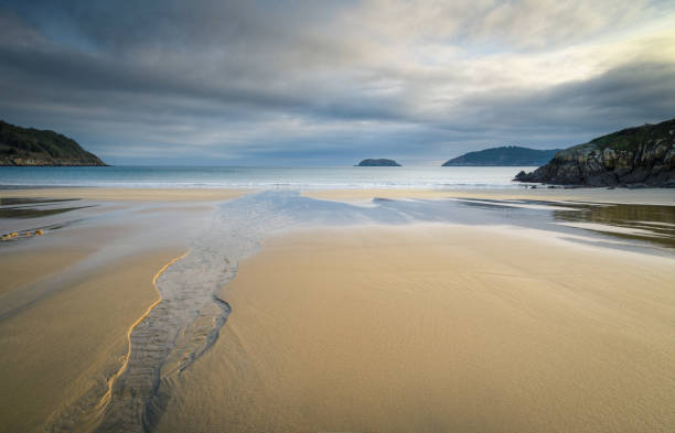 istock Small freshwater canal crosses a golden sand beach 1303515855
