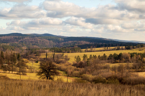 istock autumn landscape with forest in the mountains 1303519156