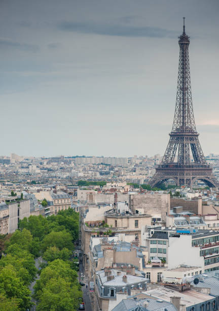 istock View of the Eiffel Tower from the observation deck and green trees 1303519217