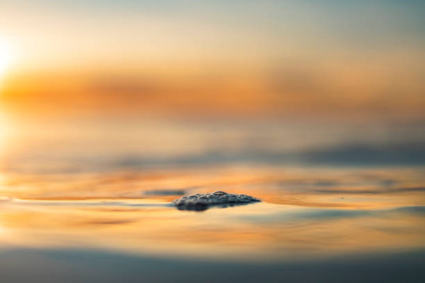 Close up details and textures of ocean surface in warm light at sunset, photographed in California.