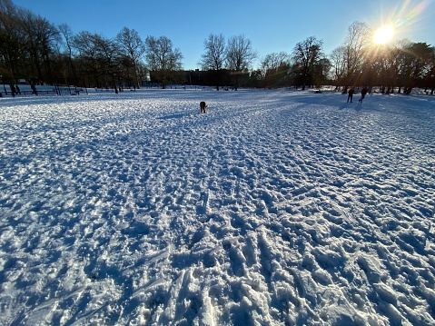 Wide Angle Snowy Day in Large Park