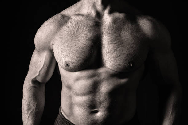 sexy muscular male torso with hairy chest of man workout - hairy men sensuality human muscle imagens e fotografias de stock