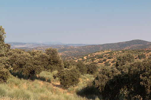 agricultural landscapes in southern Andalusia with a clear sky