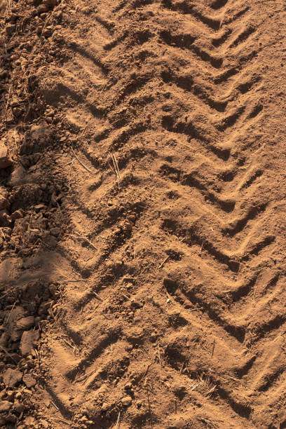 istock Tractor tracks on arid and dry terrain 1303527879