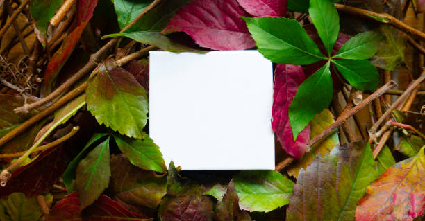 istock Creative layout made of leaves with paper note. Copy space, 1303531205