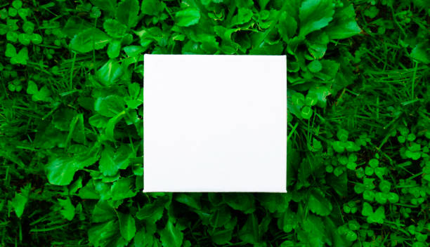 istock White card or white paper sheet lies on the grass. 1303531477