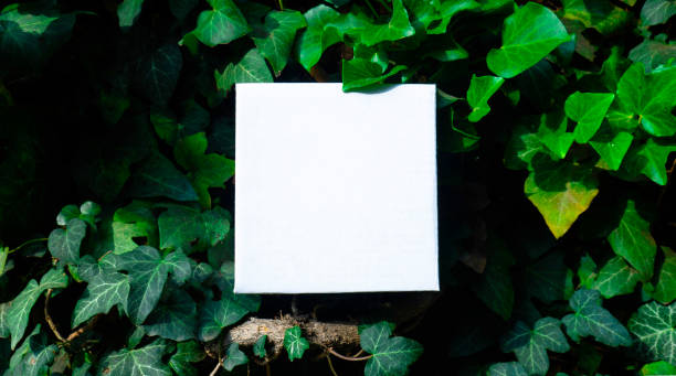 istock Creative layout made of green liana leaves with paper note. Copy space, 1303531488