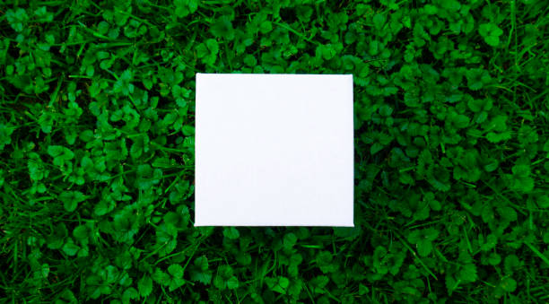 istock With paper card note on green clover. Nature concept. Top view. 1303531563