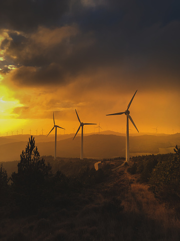 Wind farm at sunrise. Renewable energy concept.