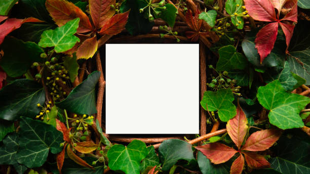 istock Layout made of leaves with paper card note. Nature concept. Top view. Copy space. 1303531685