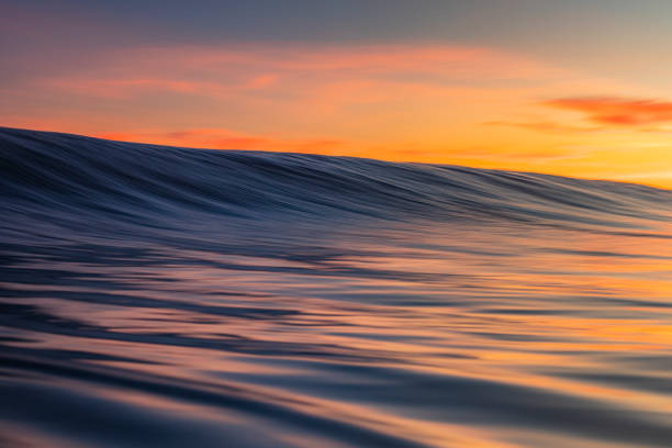 istock Close up of smooth wave forming on the beach with warm sunrise 1303532379