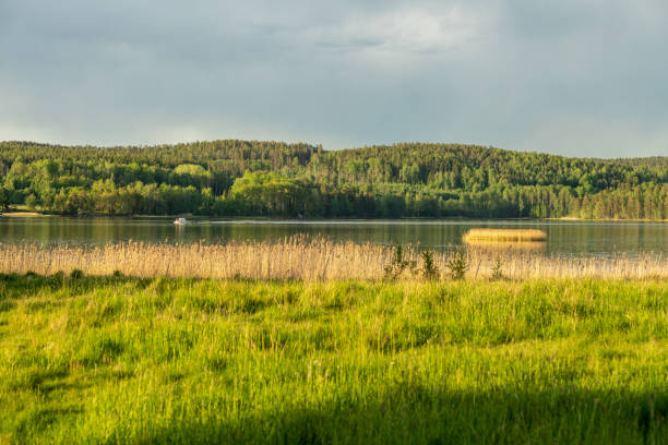 Nature view from the early summer in Sweden , view of a green forest cross a lake where a boat passes by in the early summer sunlight
