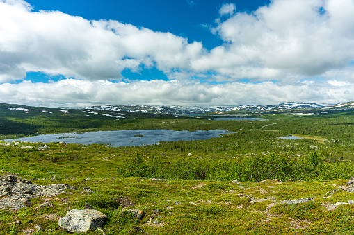 Beautiful nature view of the vastness of the Swedish highlands, with snow covered mountain tops, lakes and low growing green trees in summer sunlight