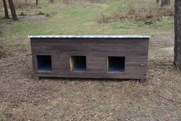 istock one large brown empty wooden doghouse with three entrances 1303534927