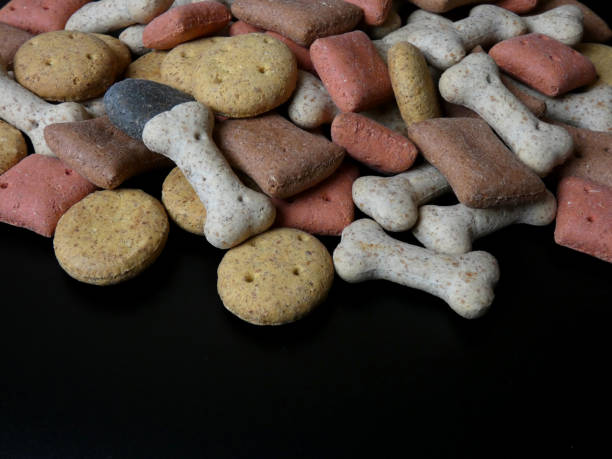istock selection of colourful shaped dog biscuits 1303543020