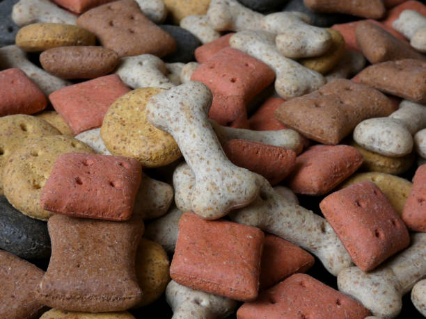 selection of colourful shaped dog biscuits