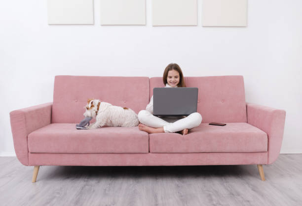 1 white teenage girl 10 years old in a white sweater and jeans sits on a pink sofa with a laptop, a dog lies next to her and plays 1 white teenage girl 10 years old in a white sweater and jeans sits on a pink sofa with a laptop, a dog lies next to her and plays 10 11 years photos stock pictures, royalty-free photos & images