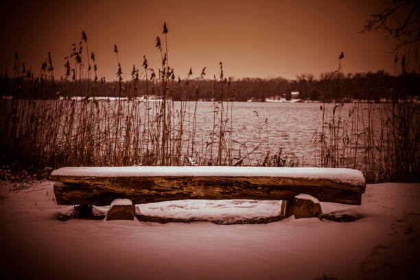 bench at a lake
