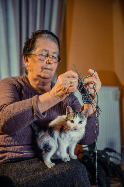 istock Old woman knitting at home during quarantine days with her cat 1303546749