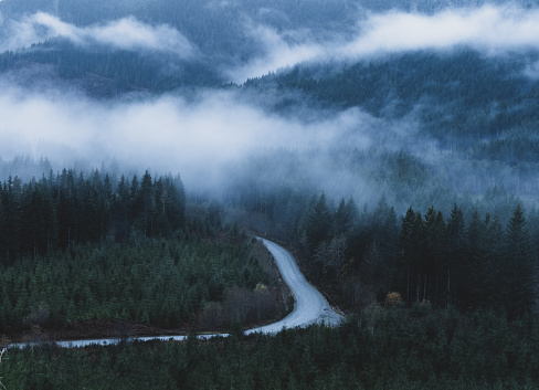 Foggy mountains and forests on Vancouver Island.