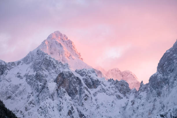 bela foto de perto de um topo rosa brilhante da montanha nos alpes ao pôr do sol enquanto o vento sopra neve fora da montanha. poder dos elementos naturais em um ambiente alpino - alpenglow sunrise sun scenics - fotografias e filmes do acervo