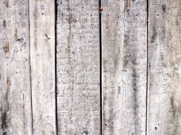 istock White scratched wooden texture, background with copy space, banner 1303550265