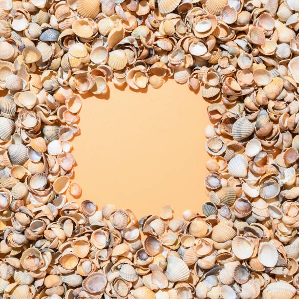 istock Square frame of seashells on beige background. 1303550977