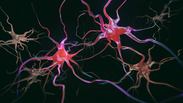 뉴런 시스템 질병 - neuroscience nerve cell nerve fiber dendrite 뉴스 사진 이미지