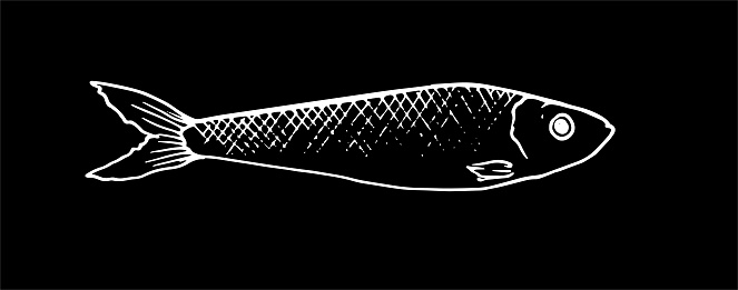 Fishback Graphics Vector Graphics Of A Stylized Fish With Dots On The Back Element For ...