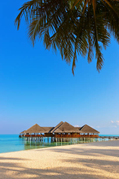 Cafe on tropical Maldives island Cafe on tropical Maldives island - nature travel background water bungalow maldives stock pictures, royalty-free photos & images