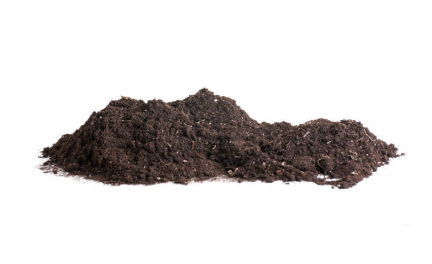 istock earth soil heap on white background isolated 1303559392
