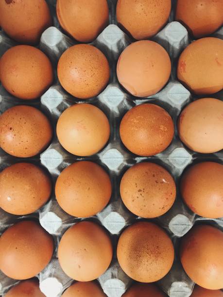 Vertical top view of a tray of brown eggs