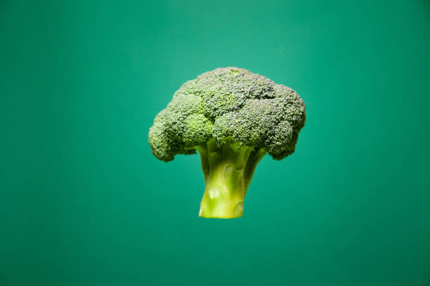 istock Fresh broccoli head hanging in green studio 1303561492