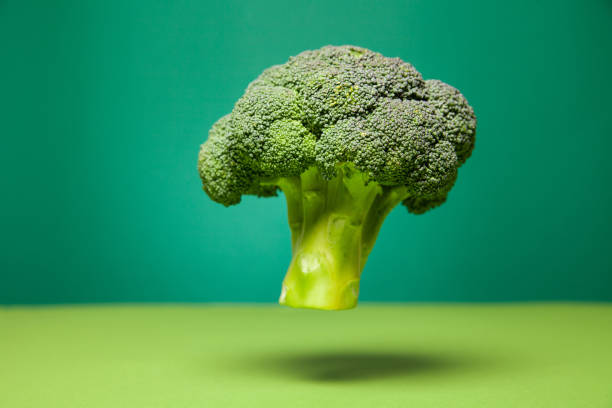 Fresh broccoli head hanging in green studio