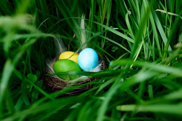 istock Stylish colorful easter eggs with feathers in the nest on green grass background. Happy Easter. Greeting card template. 1303562208