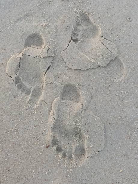 istock footprints in the sand / beach / Rio de Janeiro / Brazil 1303563545