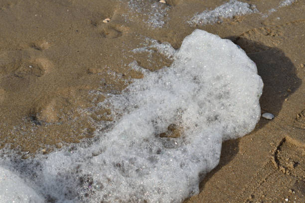 sea foam at the waters edge on the beach - waters edge wave beach soap sud imagens e fotografias de stock