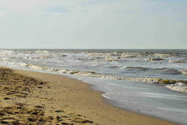 istock Waves crashing to the beach shore in the Netherlands 1303563899