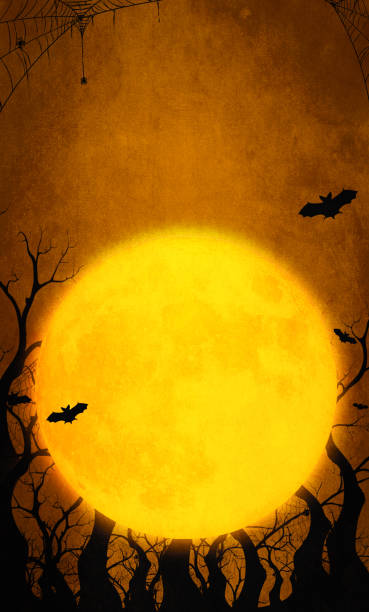 illustration 3d citrouilles heureuses sur fond orange d’halloween avec la chauve-souris de pleine lune et l’araignée les illustrations peuvent être employées pour la conception de vacances des enfants, les cartes, les invitations et les bannières - full moon audio photos et images de collection