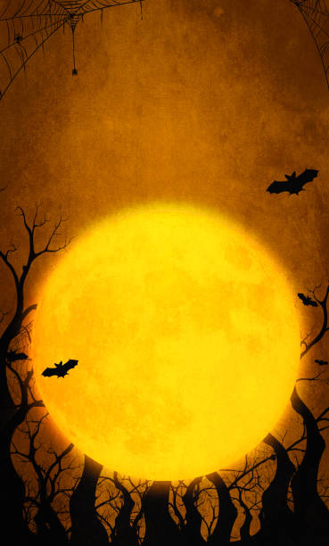 3d illustration happy pumpkins on orange halloween background with full moon bat and spider the illustrations can be used for the kids' holiday design, cards, invitations and banners - full moon audio imagens e fotografias de stock
