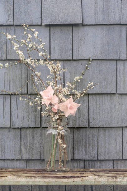 vintage styl květiny v mason jar, měkké zaostření pozadí, kopírovací prostor, pastelově tlumené barvy, narcisy a květy jablek - šindel fotky - stock snímky, obrázky a fotky