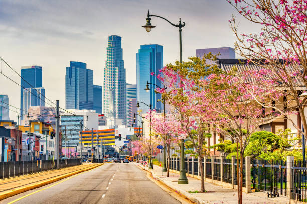istock Little Tokyo Historic District downtown Los Angeles 1303568759